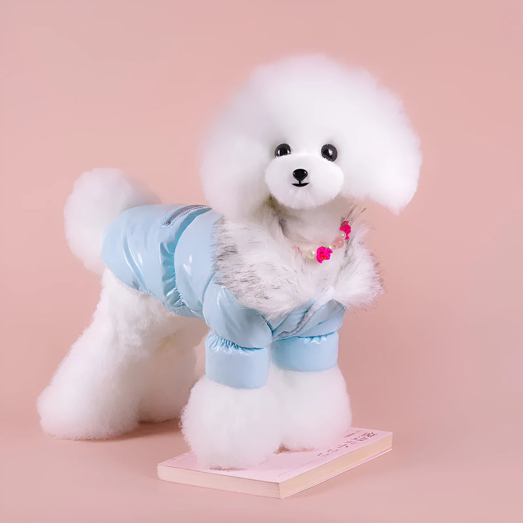 Blue cotton down jacket for puppy with British style design for autumn and winter wear