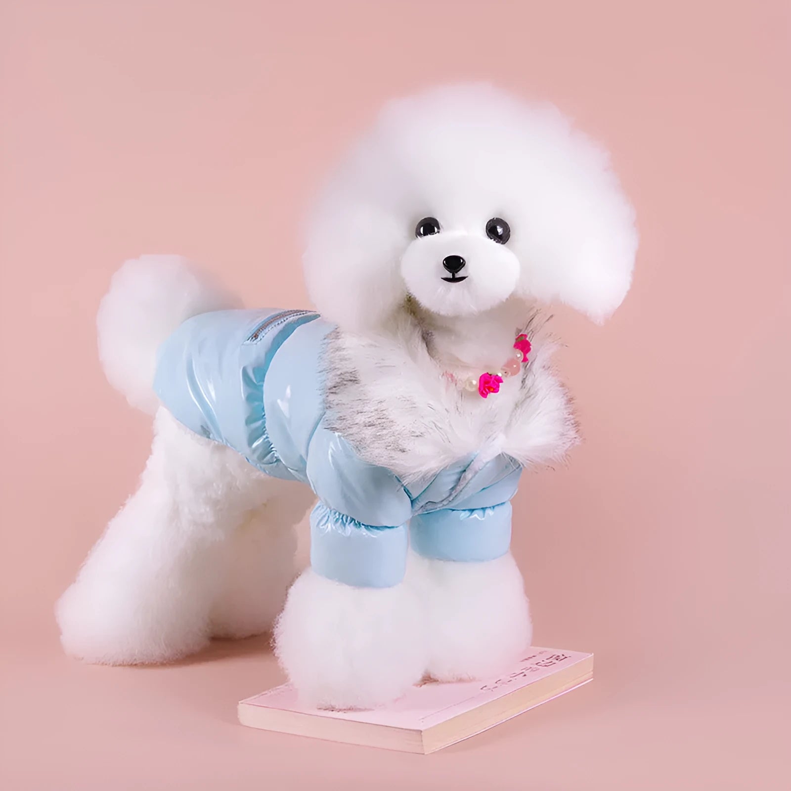 Blue cotton down jacket for puppy with British style design for autumn and winter wear