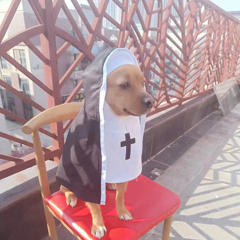 Black and white nun costume cloak on a small dog for Halloween.