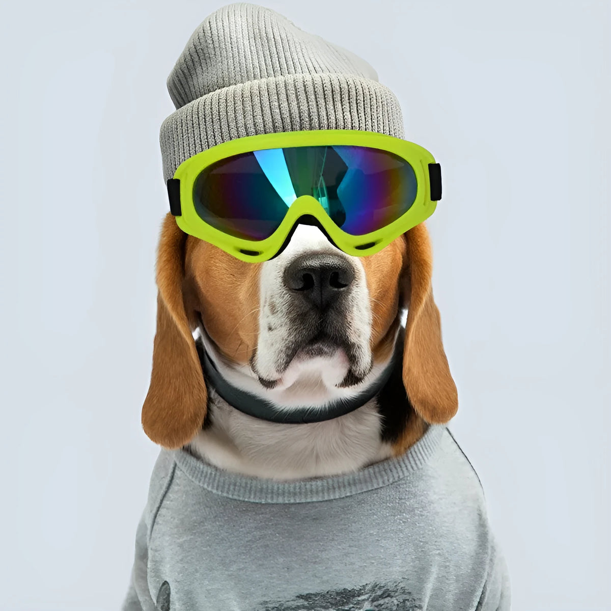 UV400 dog sunglasses with full frame PC lenses in eleven colours for outdoor pet sun shade