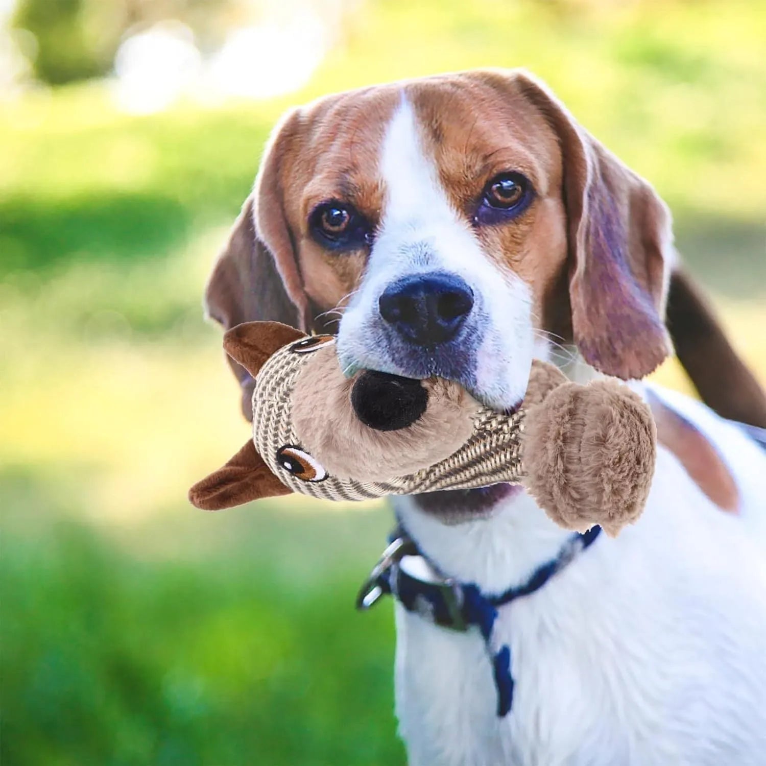 Large dog squeaky plush toy with cotton-reinforced construction for medium to large breed dogs