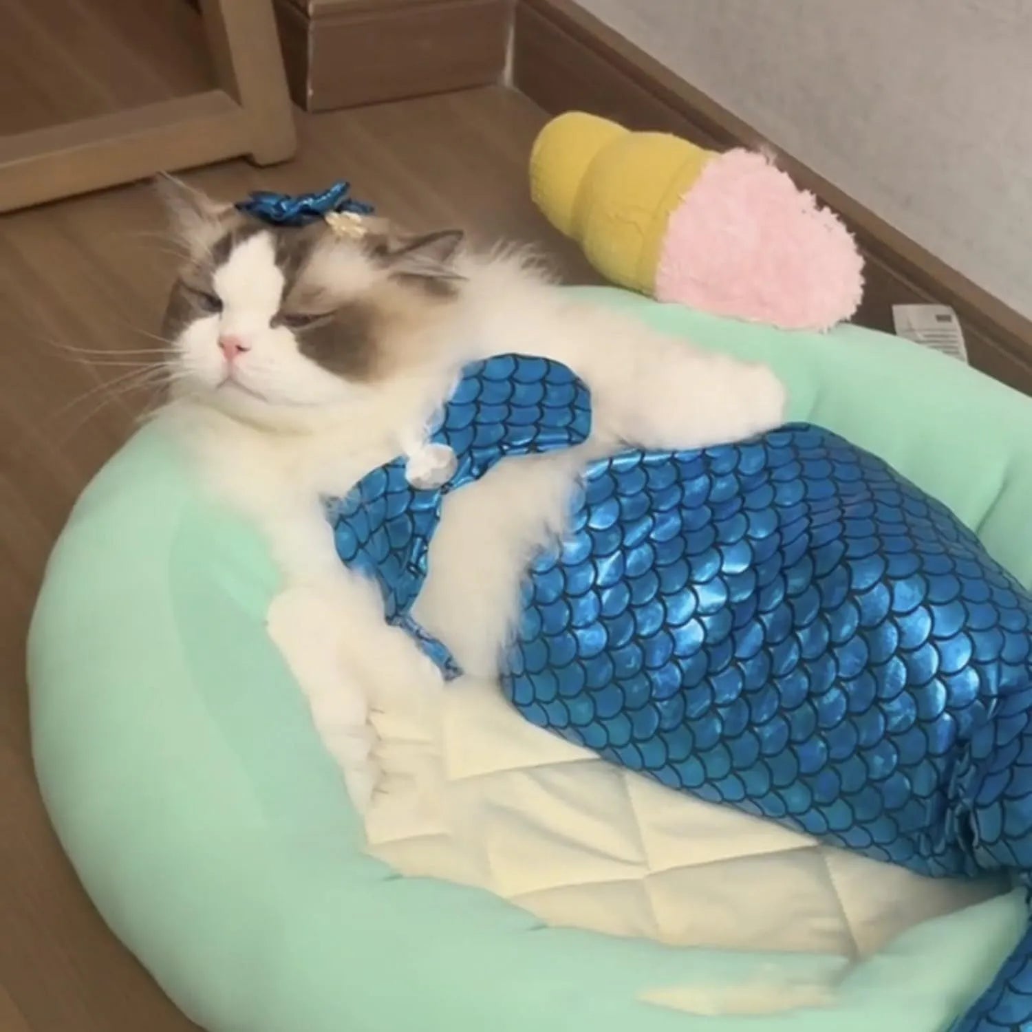 Blue pet mermaid costume with fishtail and elastic chest strap on a small cat