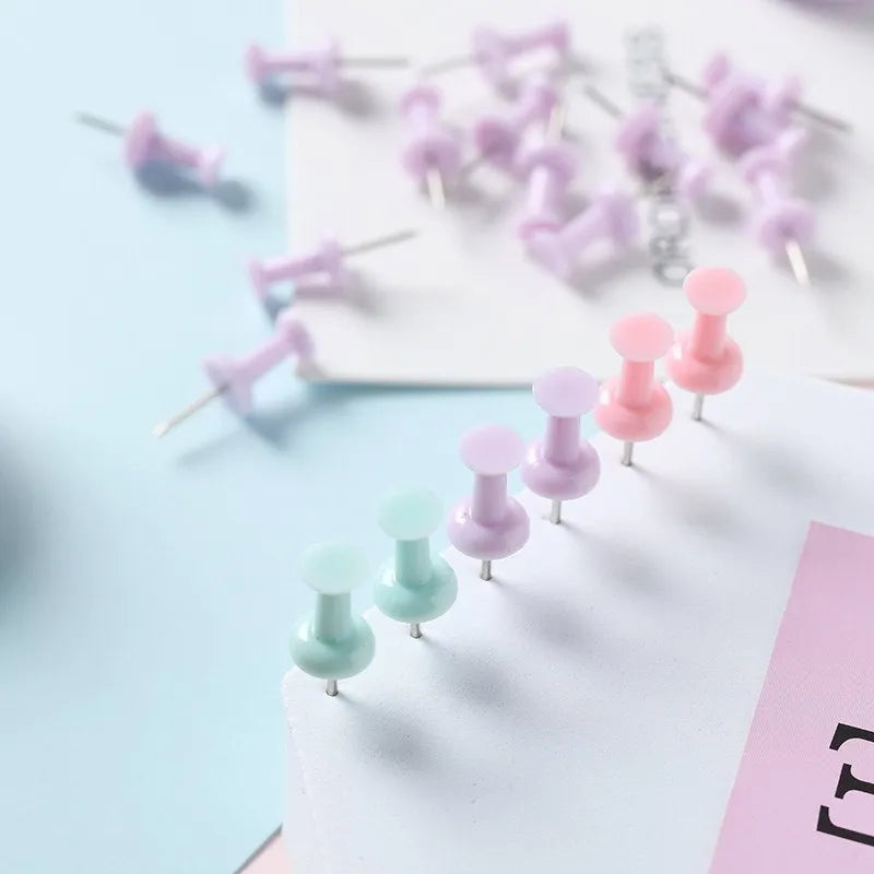 Box of plastic push pins in mint green, pink, and lavender colours, showing large and small thumbtacks for bulletin boards.