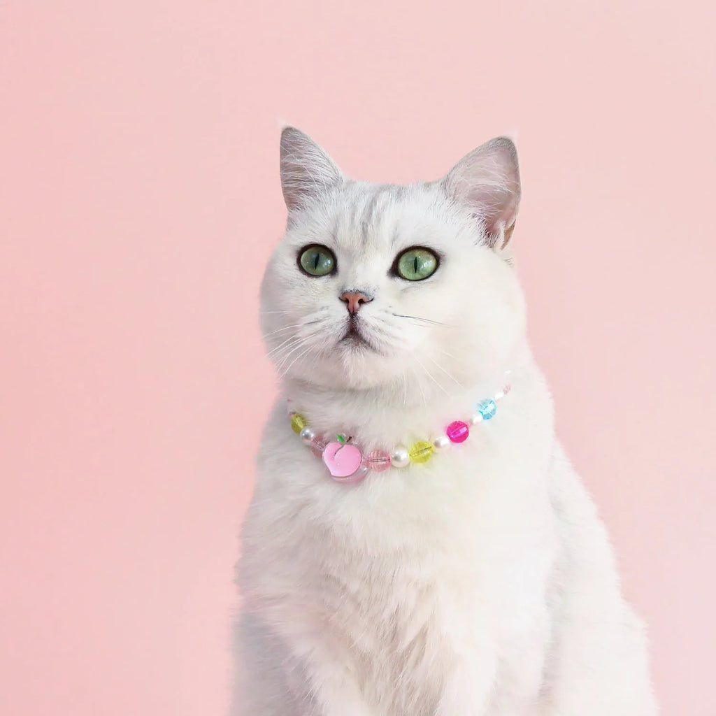 Colourful plastic bead pet necklace adjustable from 15cm to 35cm for cats and small dogs